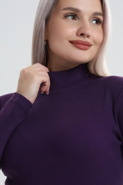 Водолазка ВЖ0059