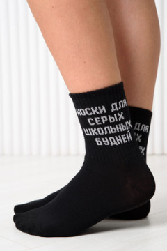 Носки стандарт Школьные будни (набор 2 пары)
