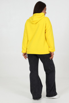 Толстовка 52352