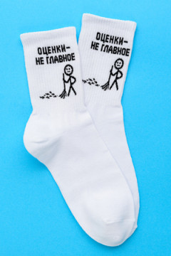 Носки стандарт Оценки не главное (набор 2 пары)