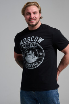 Футболка мужская 8503/1