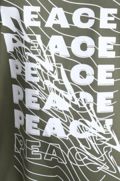 Футболка 35331