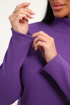 Водолазка 74721