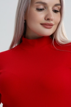 Водолазка ВЖ0059