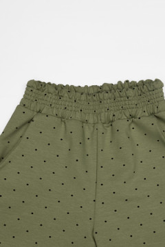 Брюки Виола