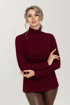 Водолазка 62023