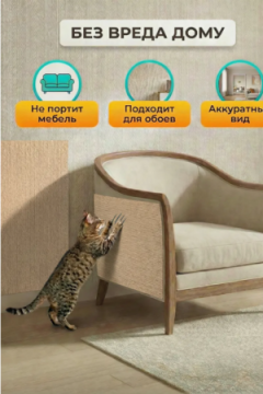 60911 Когтеточка