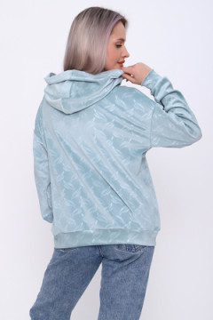 Толстовка 20673