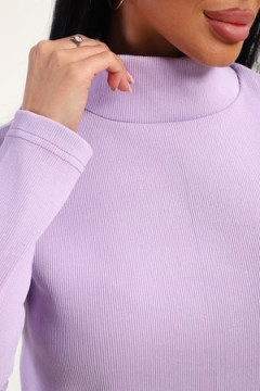 Водолазка 74721