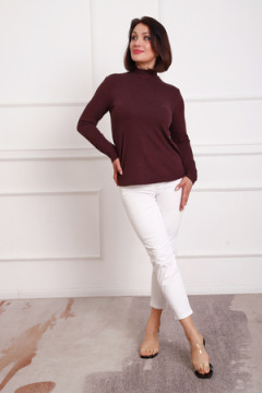 Водолазка 88157