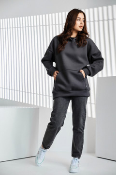 Толстовка 67090