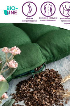 Подушка для мебели Bio-Line с гречневой лузгой PSG25