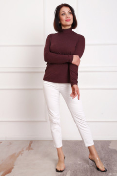 Водолазка 88157