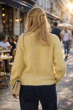 Джемпер 1895-1