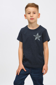 Футболка арт. ФУ-М/звезда-индиго