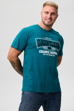 Футболка мужская 8503/1