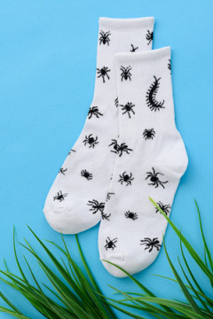 Носки стандарт Сороконожка (набор 2 пары)