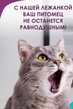 Лежанка для кошек и собак 50×40 LDZ, полиэфирное волокно, хлопок, бязь, износостойкая, Bio-Line