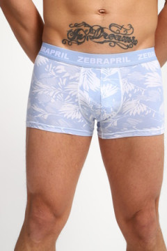 Трусы мужские 45072