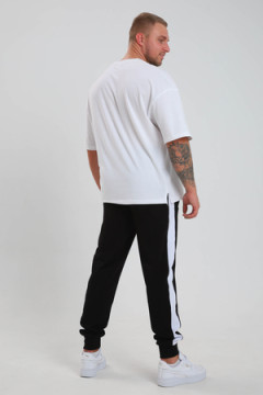 22286 Брюки мужские