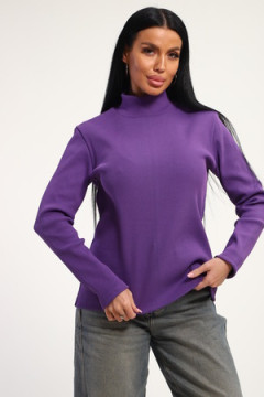 Водолазка 74721