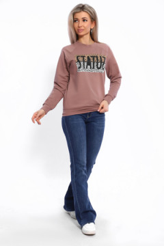 Толстовка 33517