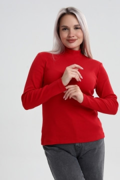 Водолазка ВЖ0059