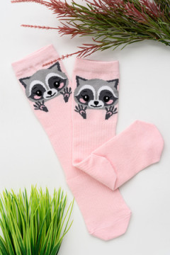 Гольфы детские Енотик (набор 2 пары)