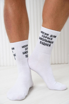 Носки стандарт Школьные будни (набор 2 пары)