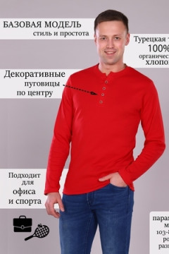 Лонгслив 17572