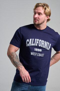 Футболка мужская 8503/1