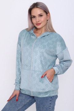 Толстовка 20673