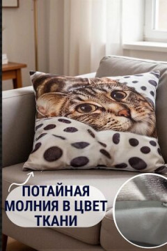 Наволочка декоративная декоративная Кот/горох 3D