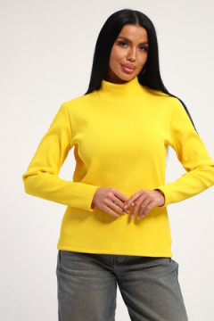 Водолазка 74721