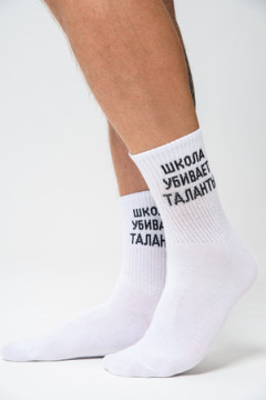 Носки мужские Талант (набор 2 пары)