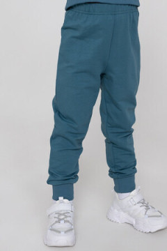 Детский костюм с брюками футер петля Active 20341