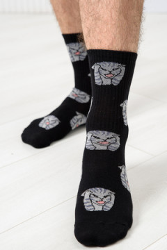 Носки стандарт Драматик кот (набор 2 пары)