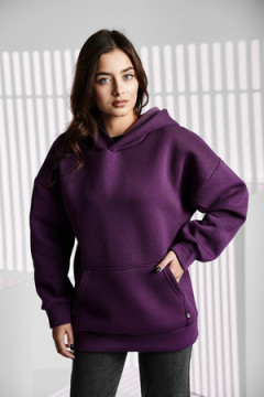 Толстовка 67090