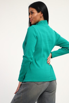 Водолазка 74721