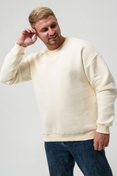 Свитшот 14421