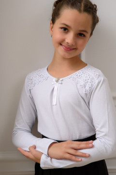 Блузка Виринея длинный рукав