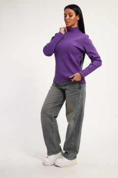 Водолазка 74721