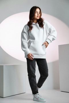 Толстовка 67090