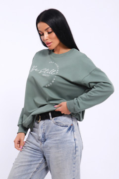 Толстовка 80039