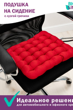 Подушка для мебели Bio-Line с гречневой лузгой PSG25