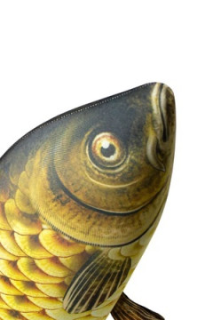 Игрушка-антистресс Рыба мечты. Сазан