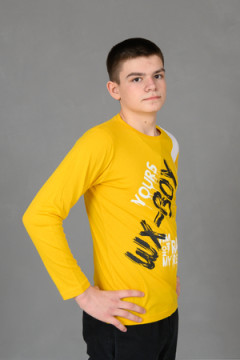 Лонгслив 83017