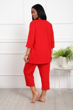 Костюм с бриджами 1060