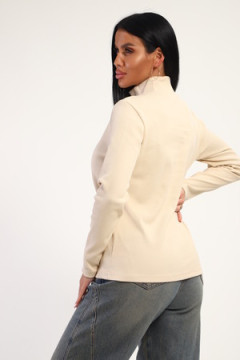 Водолазка 74721