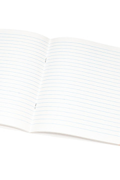 Тетрадь ЛИНИЯ 48л. РУССКИЙ ЯЗЫК «МАНГА» (Т48-1500) стандарт, твин-лак